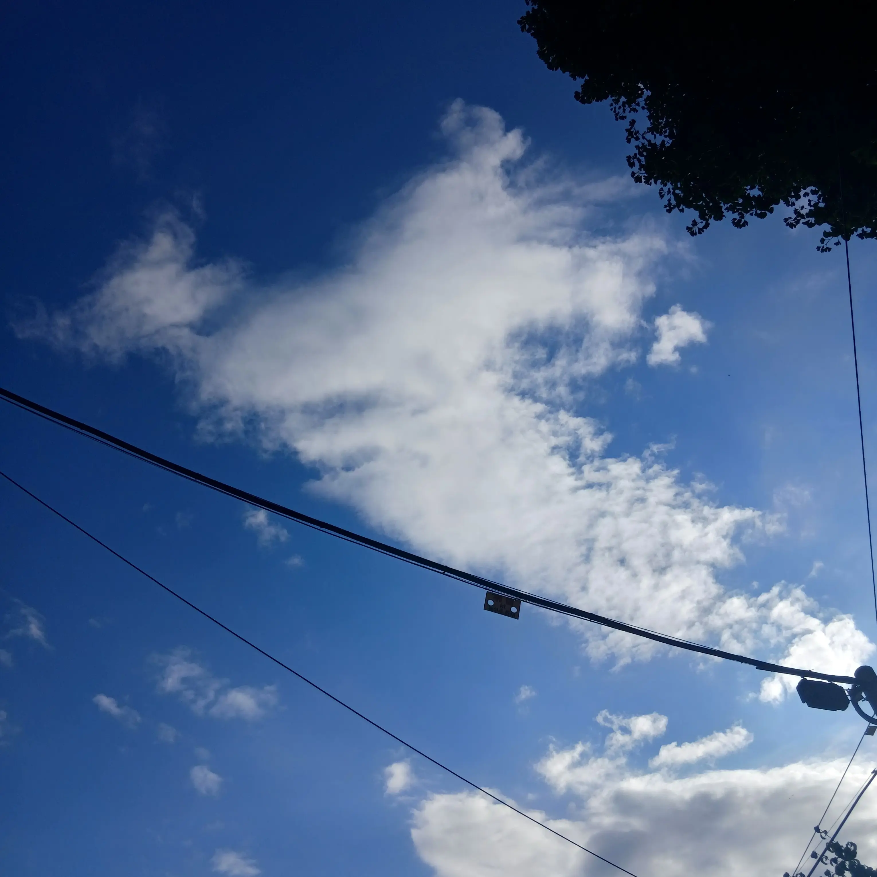 PuristBrain5652의 비밀 인형극