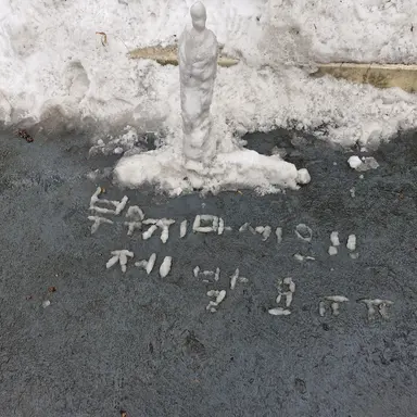 Profile image of 눈