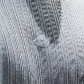 정성찬