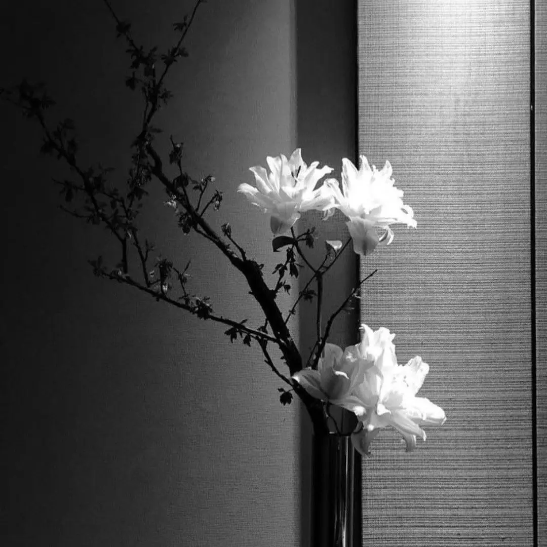 iqgood의 강아지 수인 집에 입양된 고양이 수인