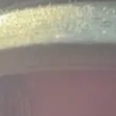 Profile image of Chris
