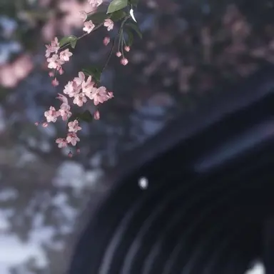 Profile image of 김민정