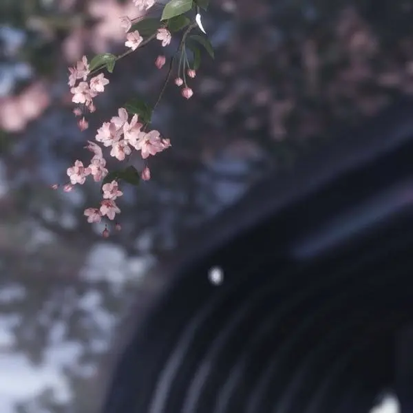 Drama_0910의 김민정