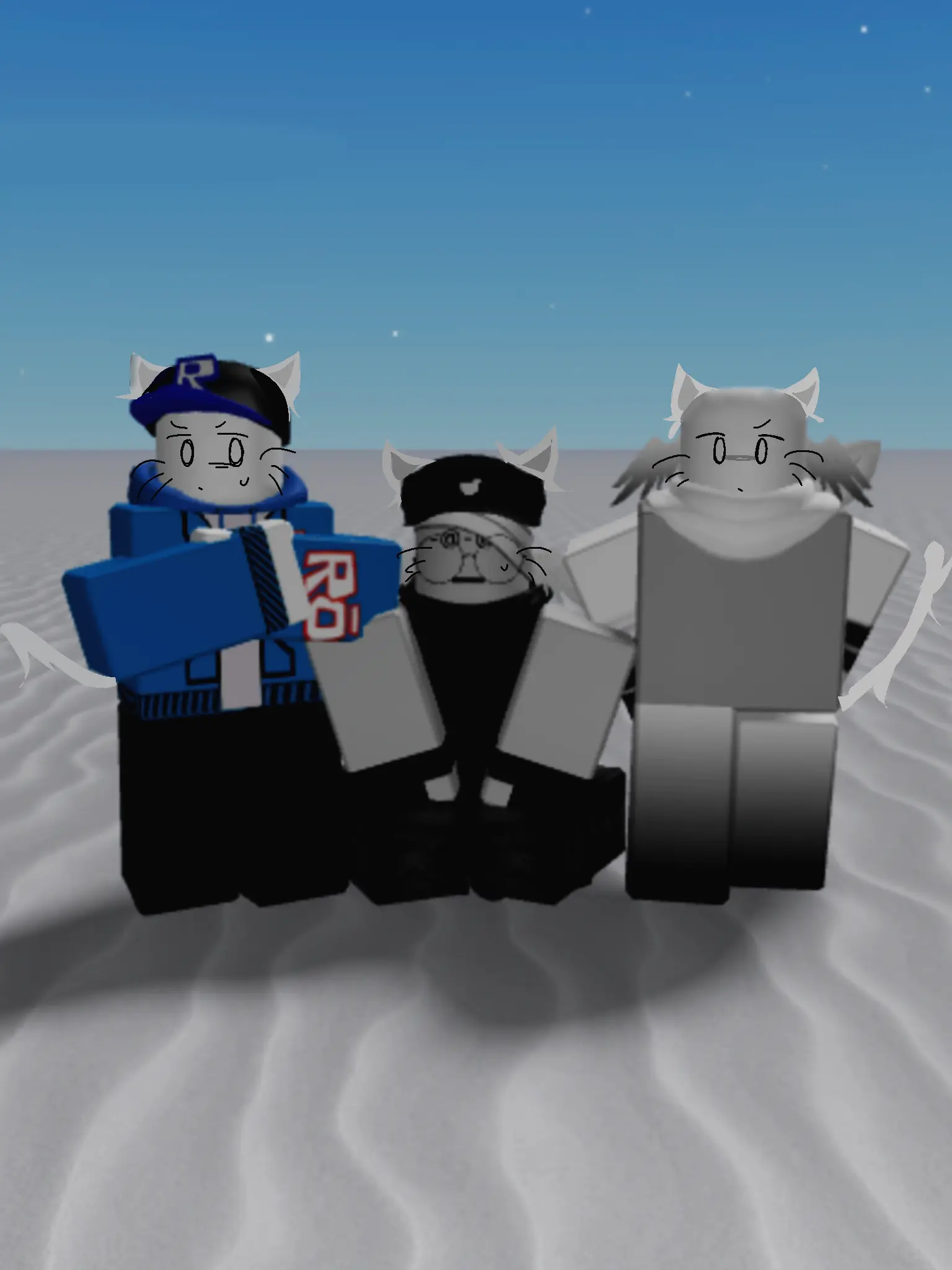 Gayyyy1의 야생고양이들 길들이기