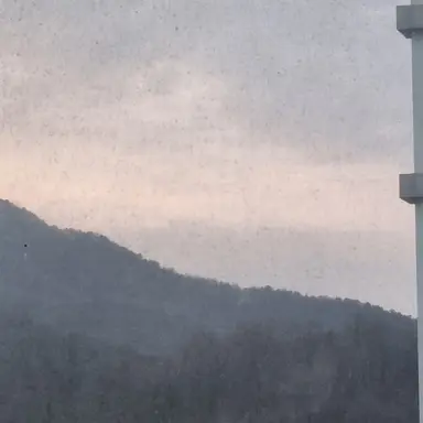 Profile image of 채퇴화