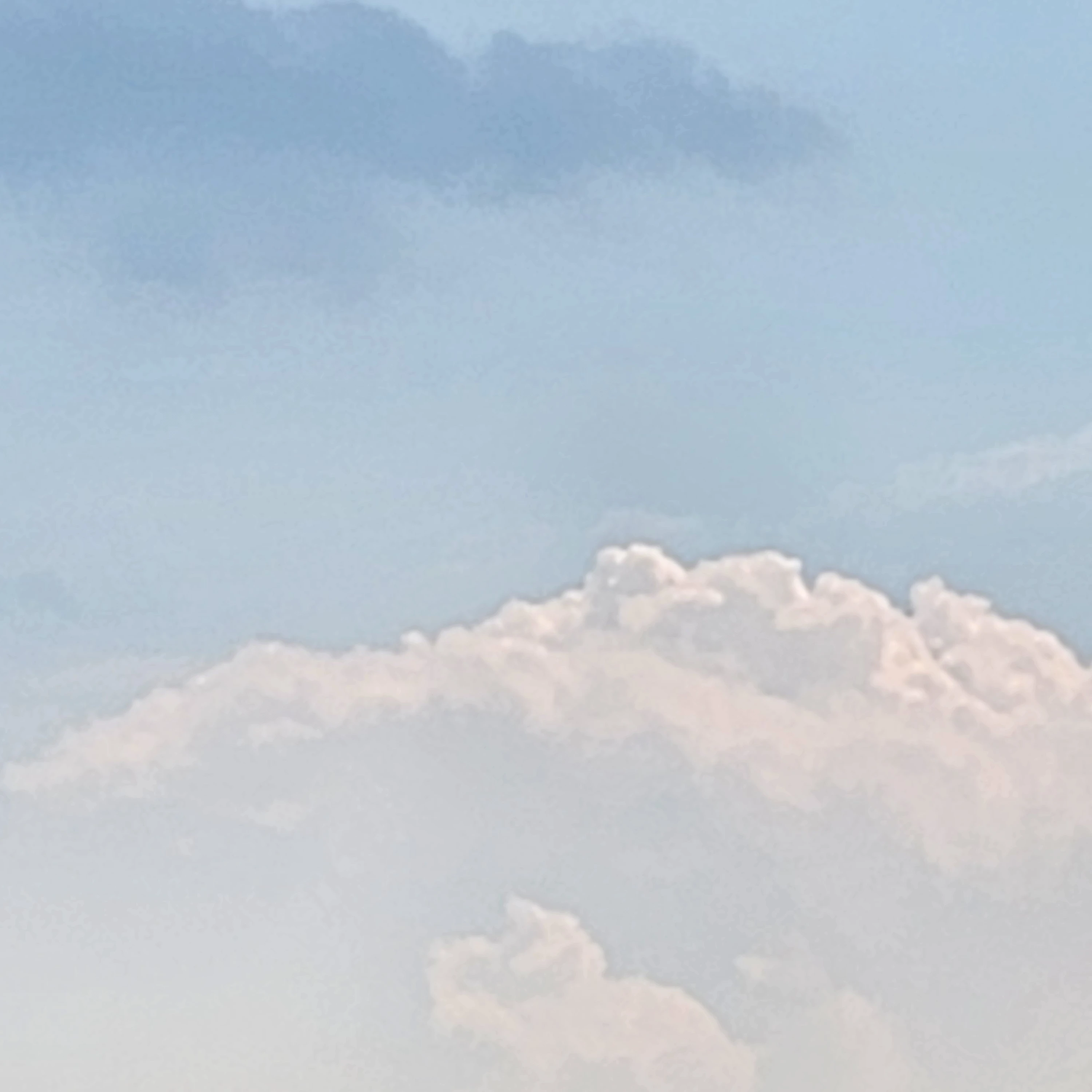 여우