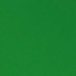 JollyZokor1771의 変態な主人