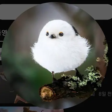 Profile image of 뱁새
