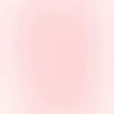 Profile image of 찬영