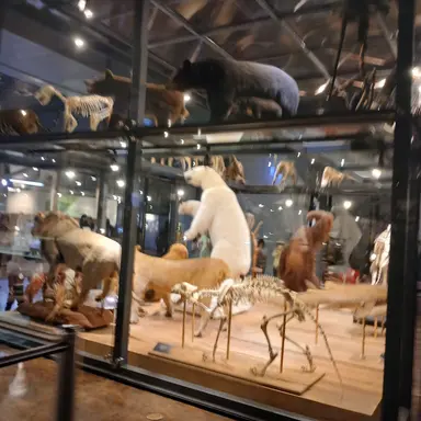 Profile image of 김민준