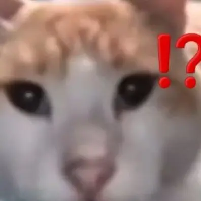 Ggugguggu의 ㄱㅈ