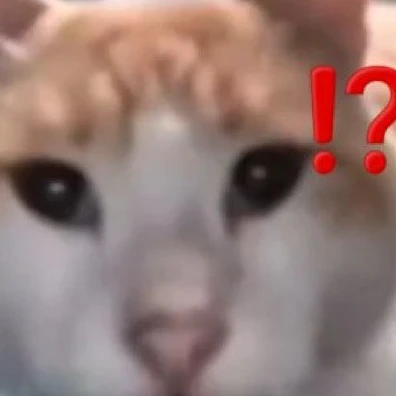 ㄱㅈ