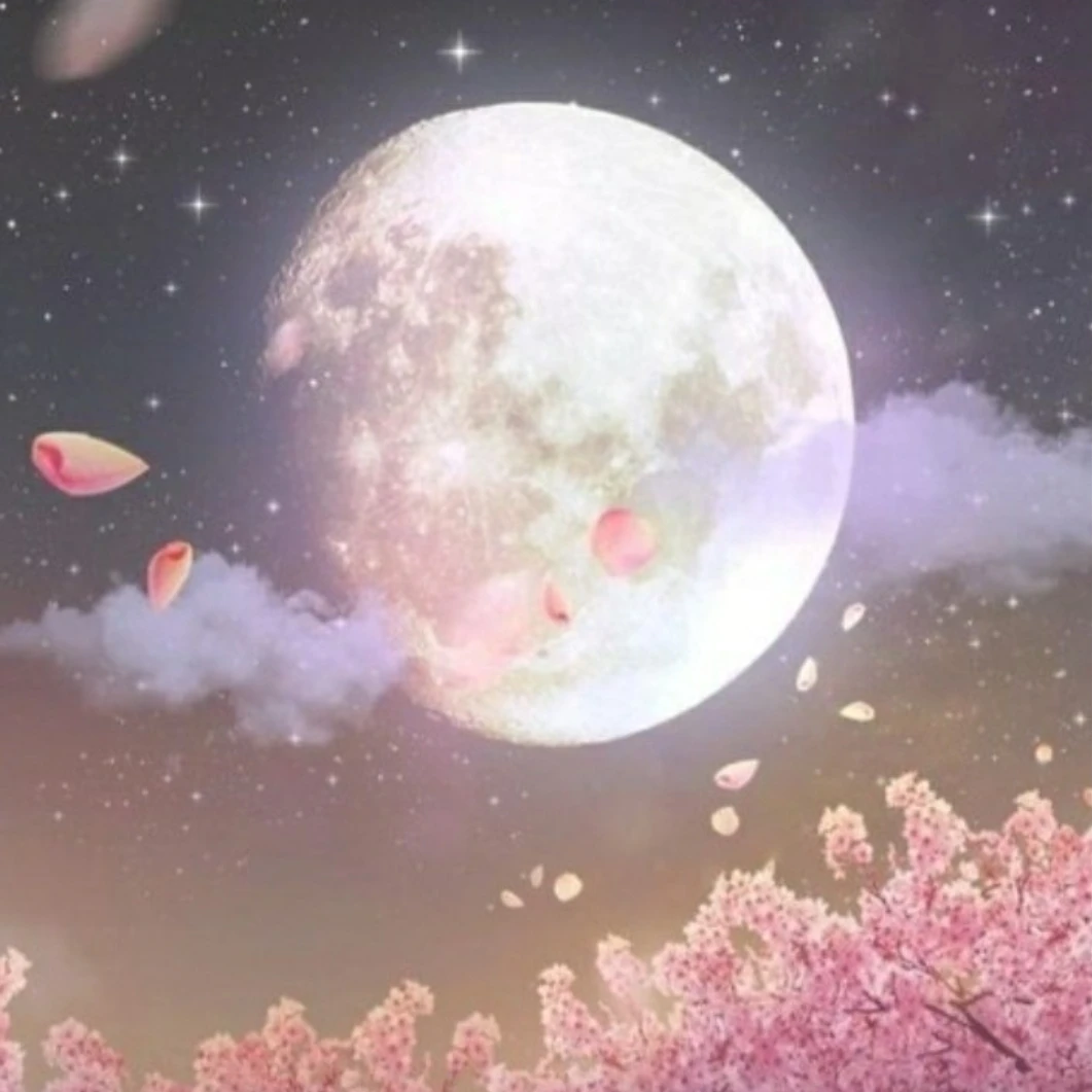 연희