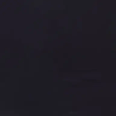 Profile image of 코알라 키드