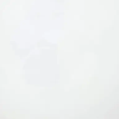 Profile image of 래빗 키드