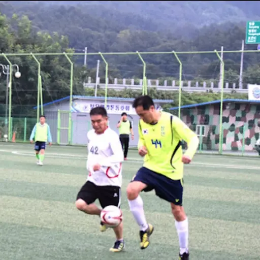 sonjaemin7731의 조기축구 시뮬레이터