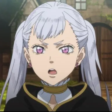 Profile image of ノエル