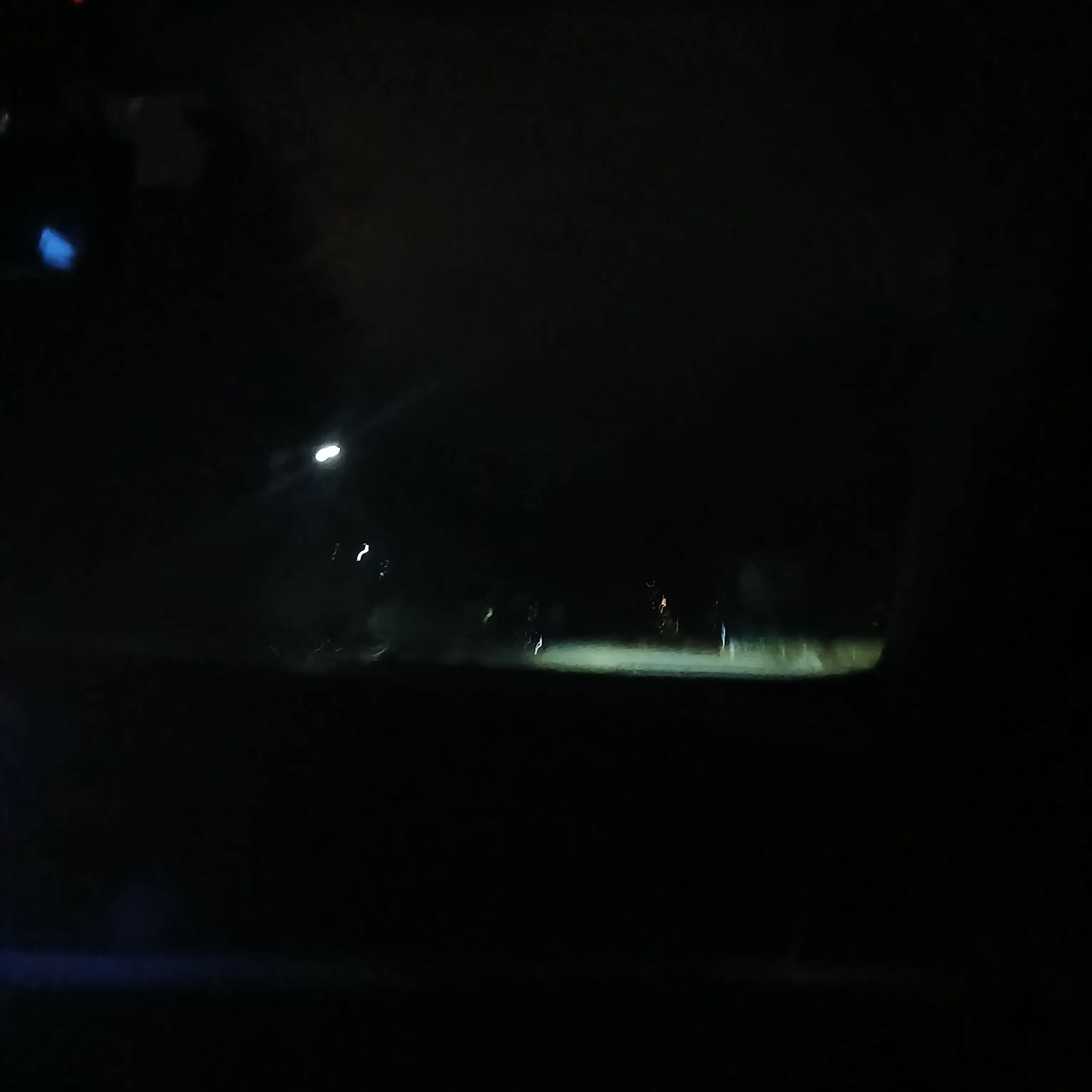 Snowygirl의 -