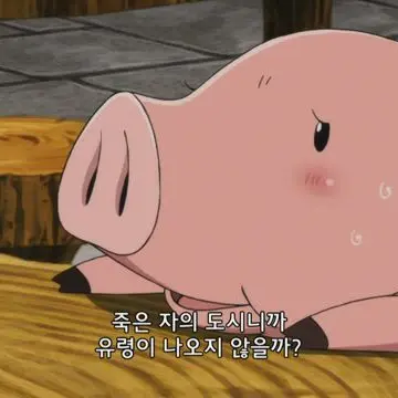 Profile image of 호크