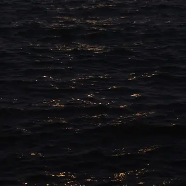 Profile image of 허혜운