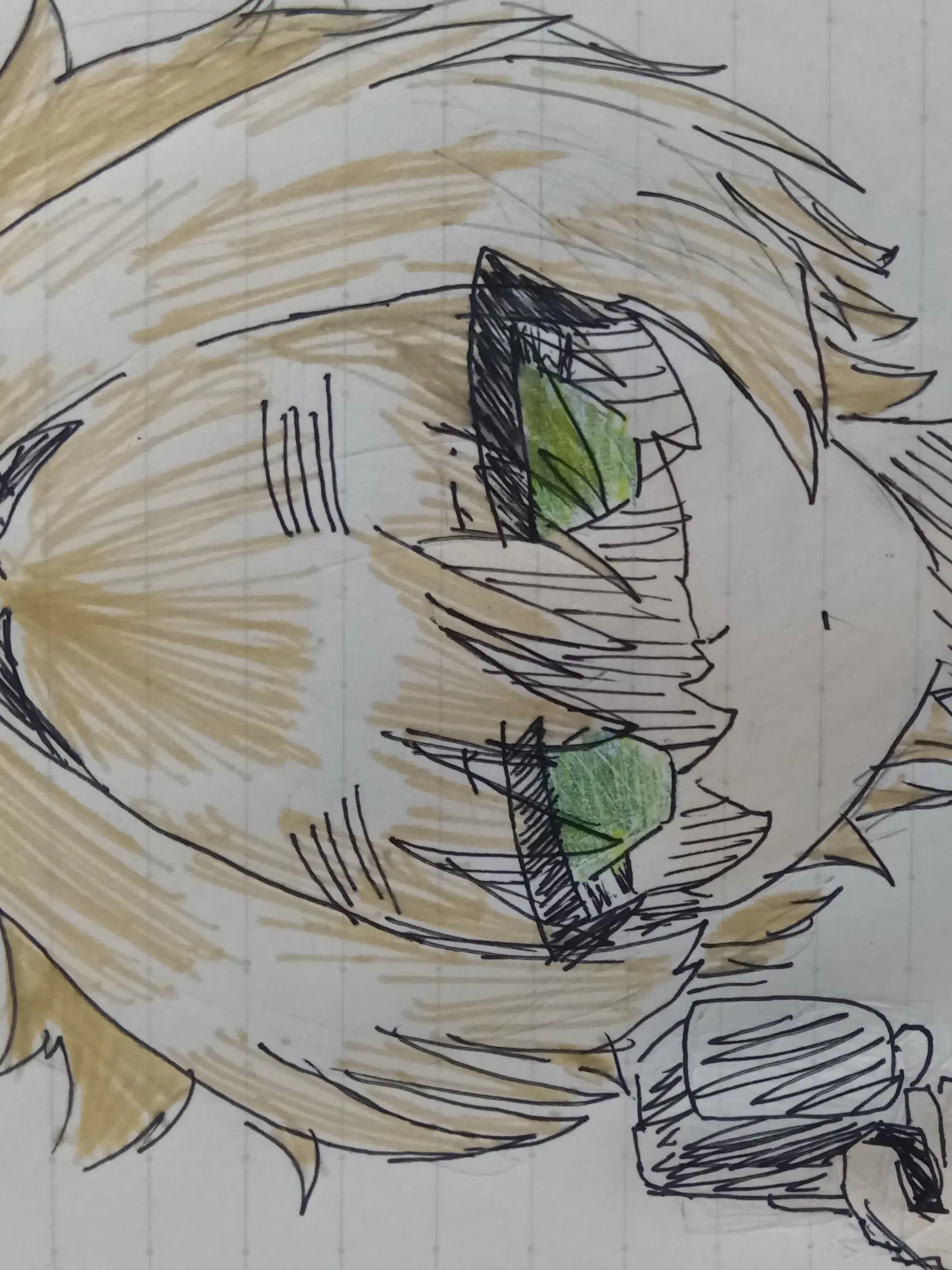 VioletFan9384의 裏切り――？