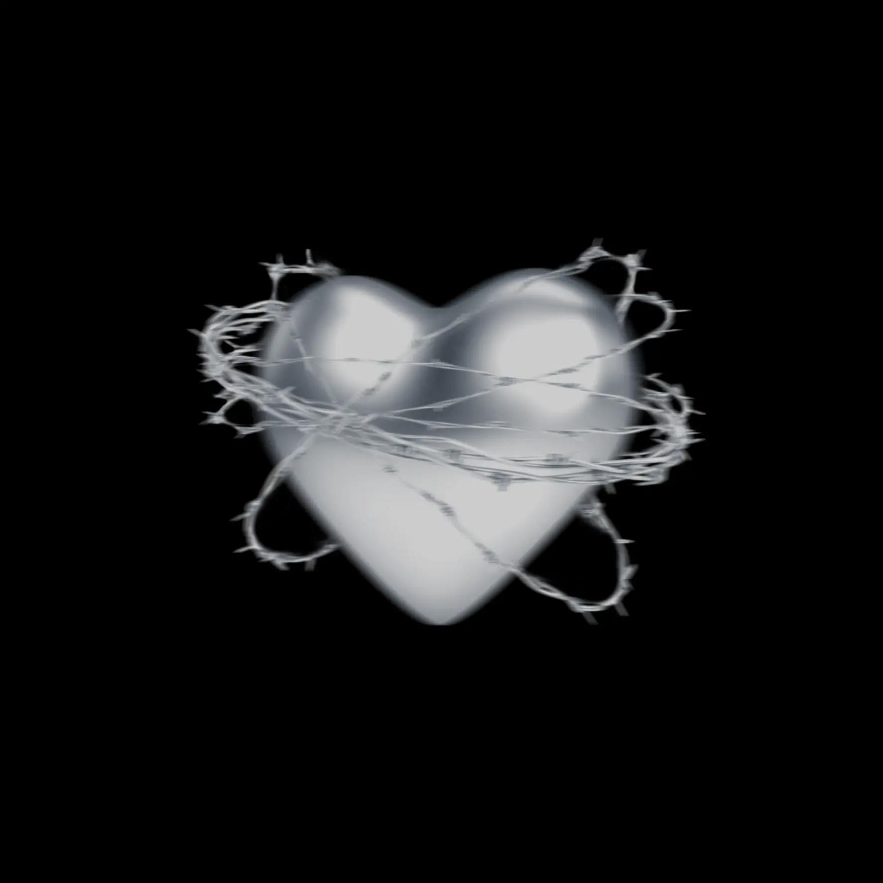 OFLI의 선생님을 좋아하고 있어