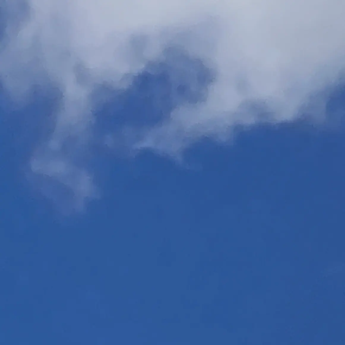 IdealLeech1002의 転生的なあれ