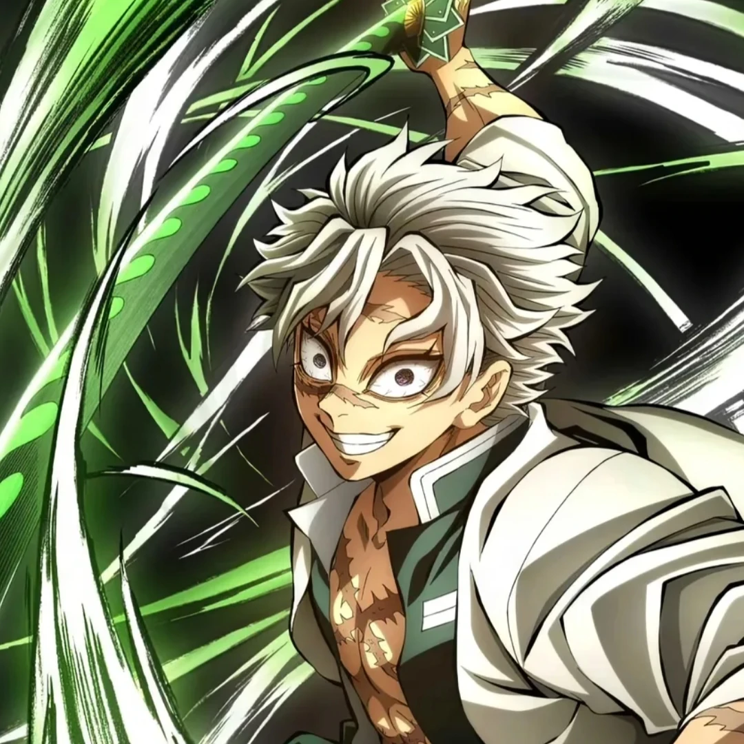 시나즈가와 사네미