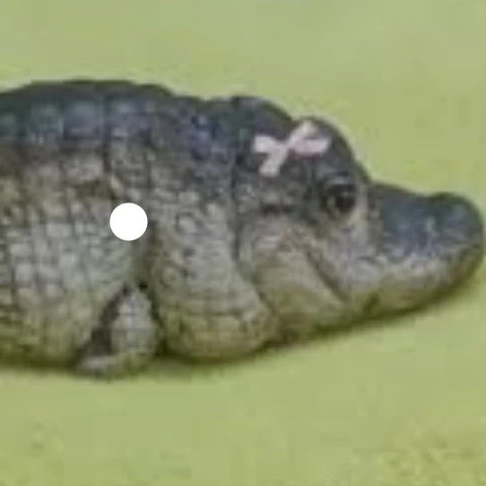 애기악어