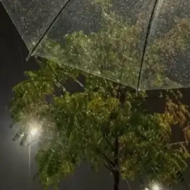 Profile image of 不破雷蔵