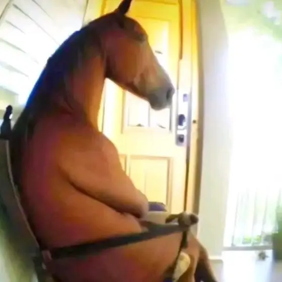 SONS0812의 남자친구4호