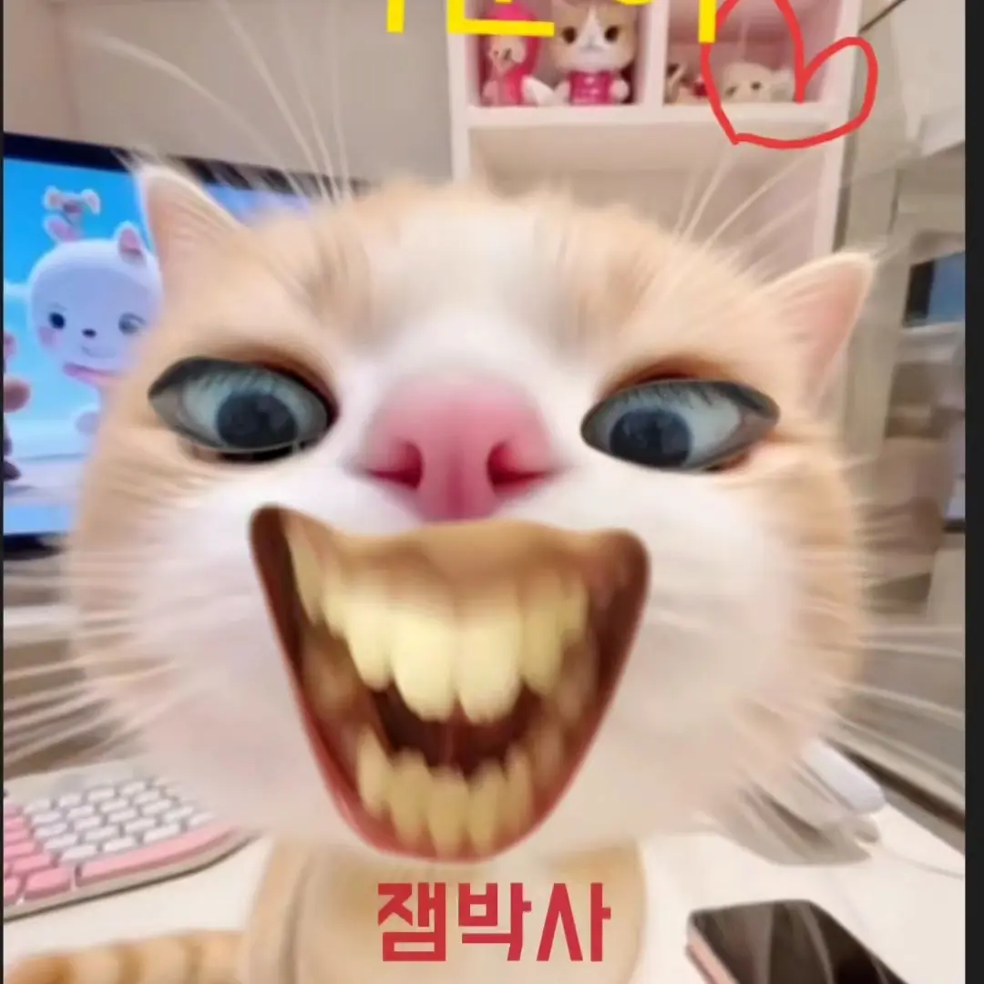 jinzhiyu150104의 이눈이
