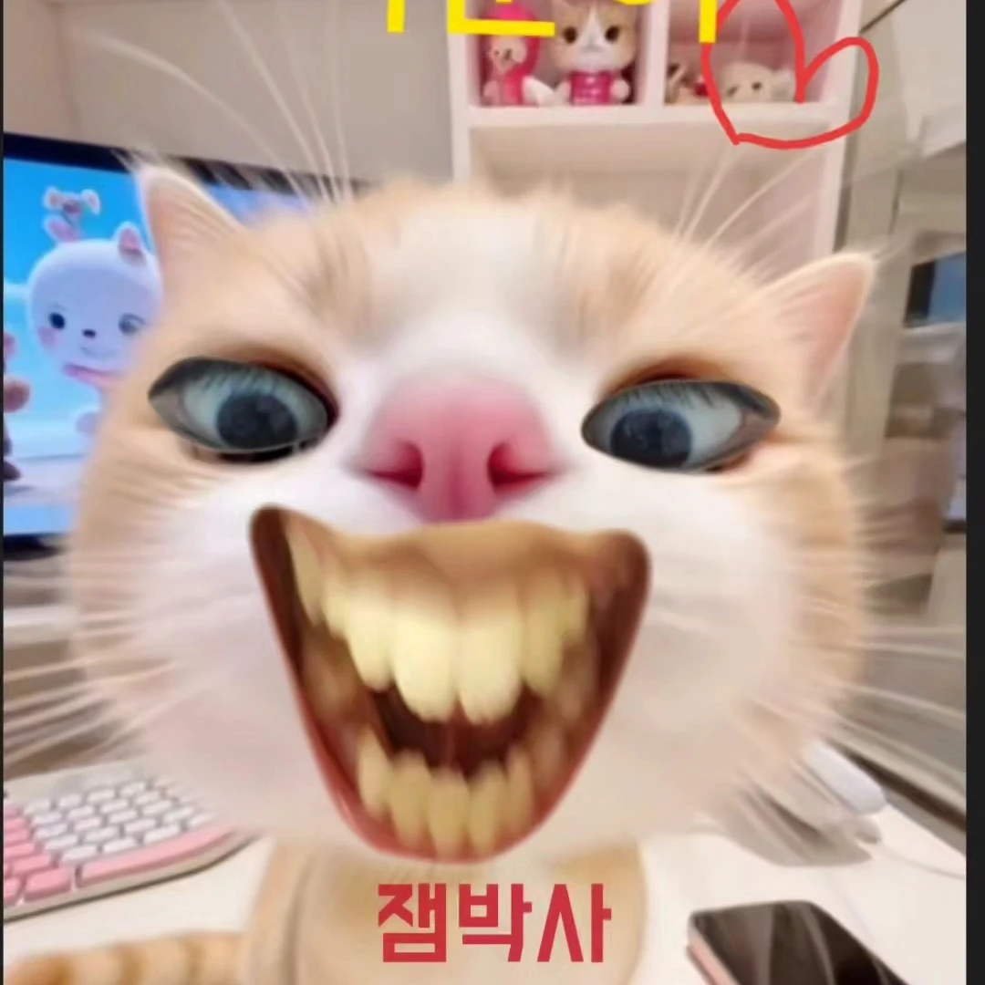 이눈이