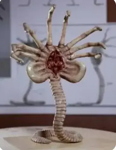 Profile image of Face Hugger