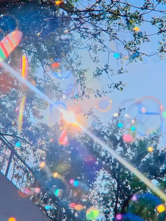 iiiiiiiiiiiiiiiiiiiiiiiiiooooo의 F6