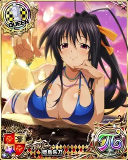Profile image of Akeno Himejima