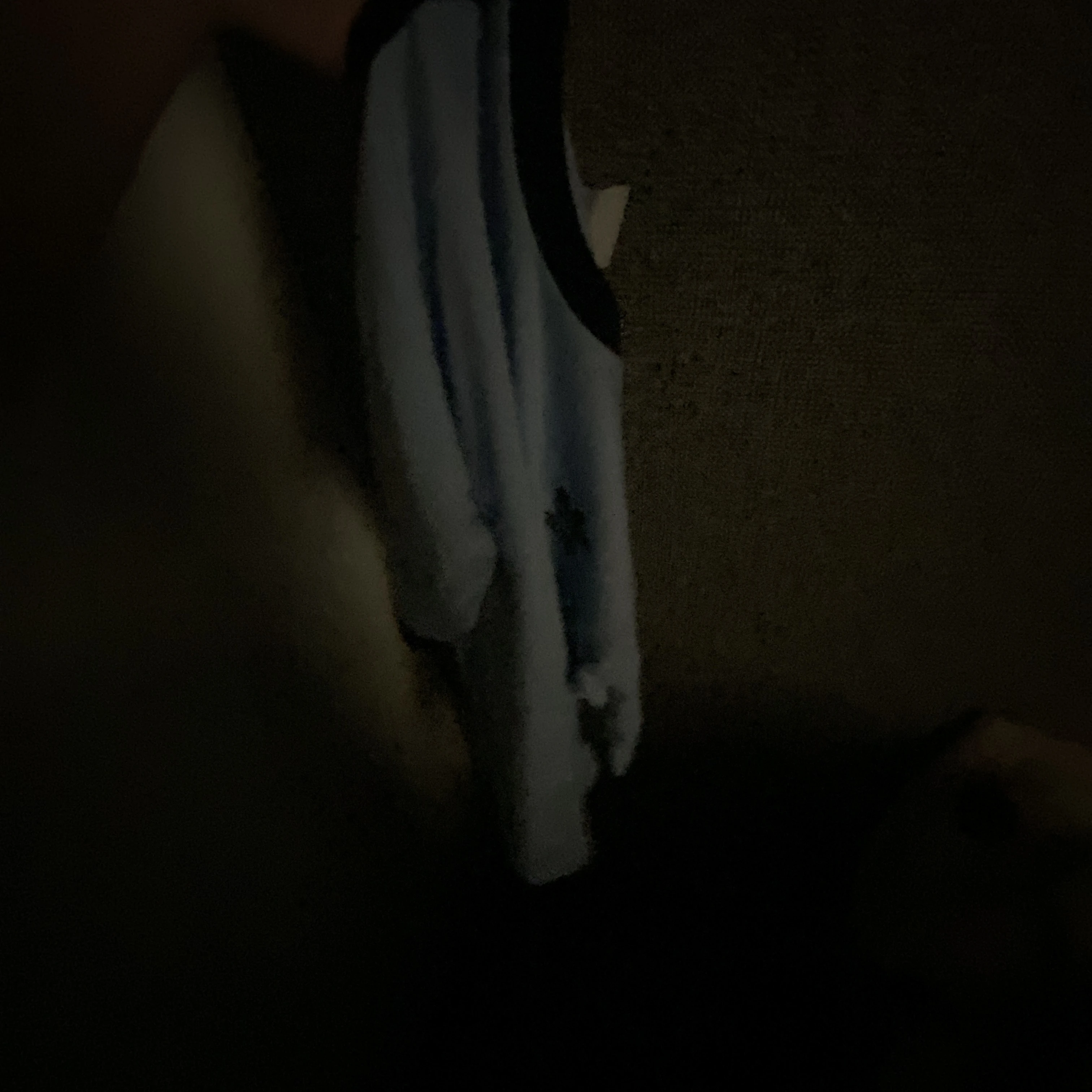 ようじ