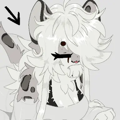 Profile image of Marro