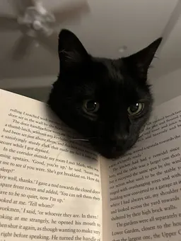 Profile image of Luna