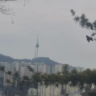 Profile image of 태오