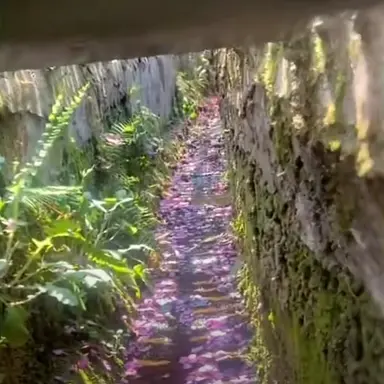 Profile image of Avion