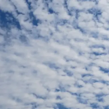 Profile image of 동민