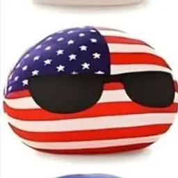 Profile image of アメリカ