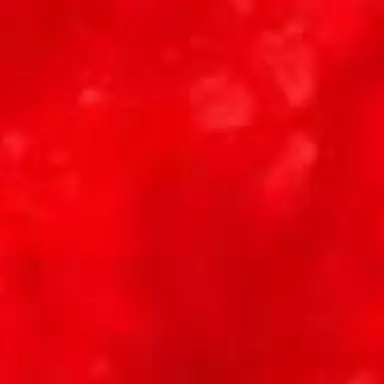 Profile image of 大森 元貴