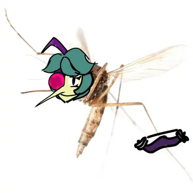 Profile image of 안젤로