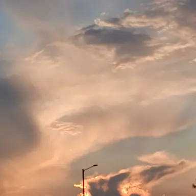 Profile image of 덕개