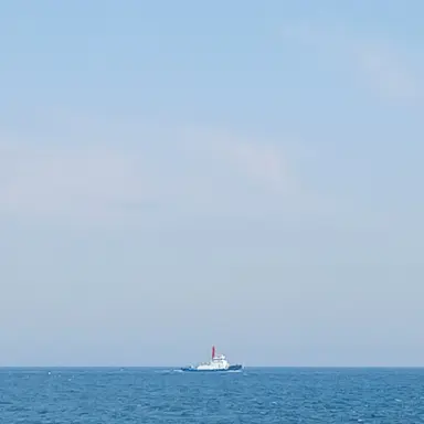 Profile image of 잠뜰