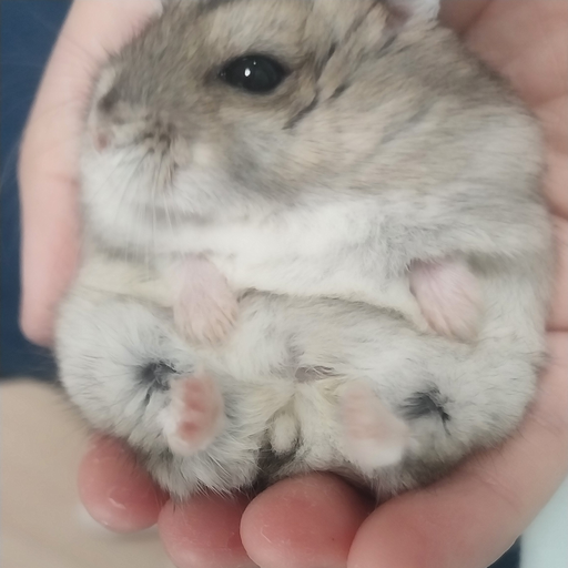박민수 대표 이미지