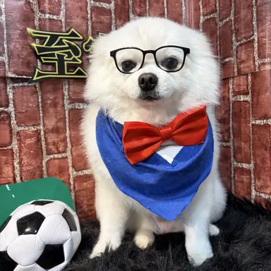 Profile image of ミク　user