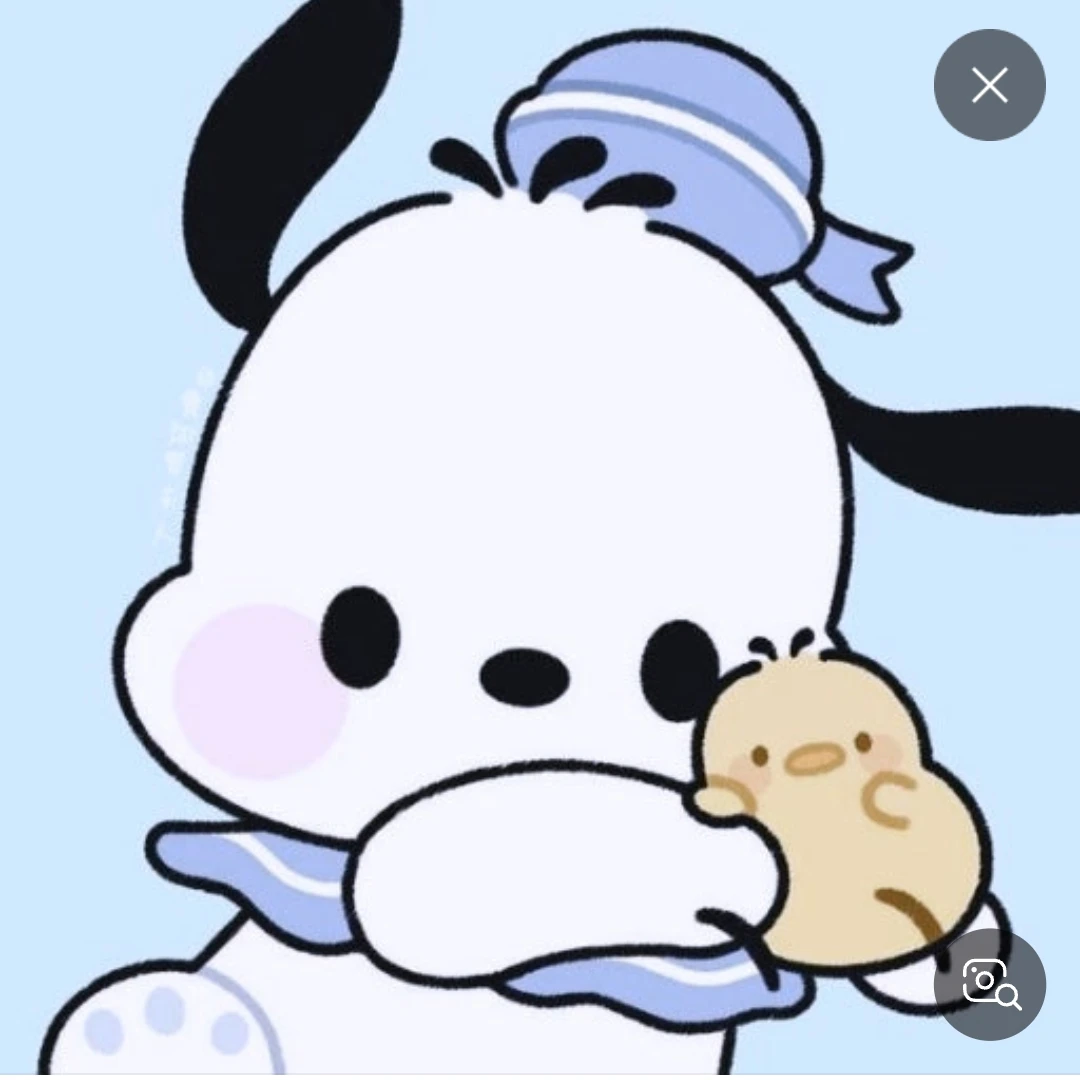 포차코